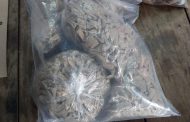 Joint intelligence driven operation results in arrest of suspects and confiscation of drugs worth thousands of rand