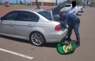 Elephant tusks dealers nabbed in a sting operation