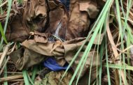 Skeletal remains found in Walmer