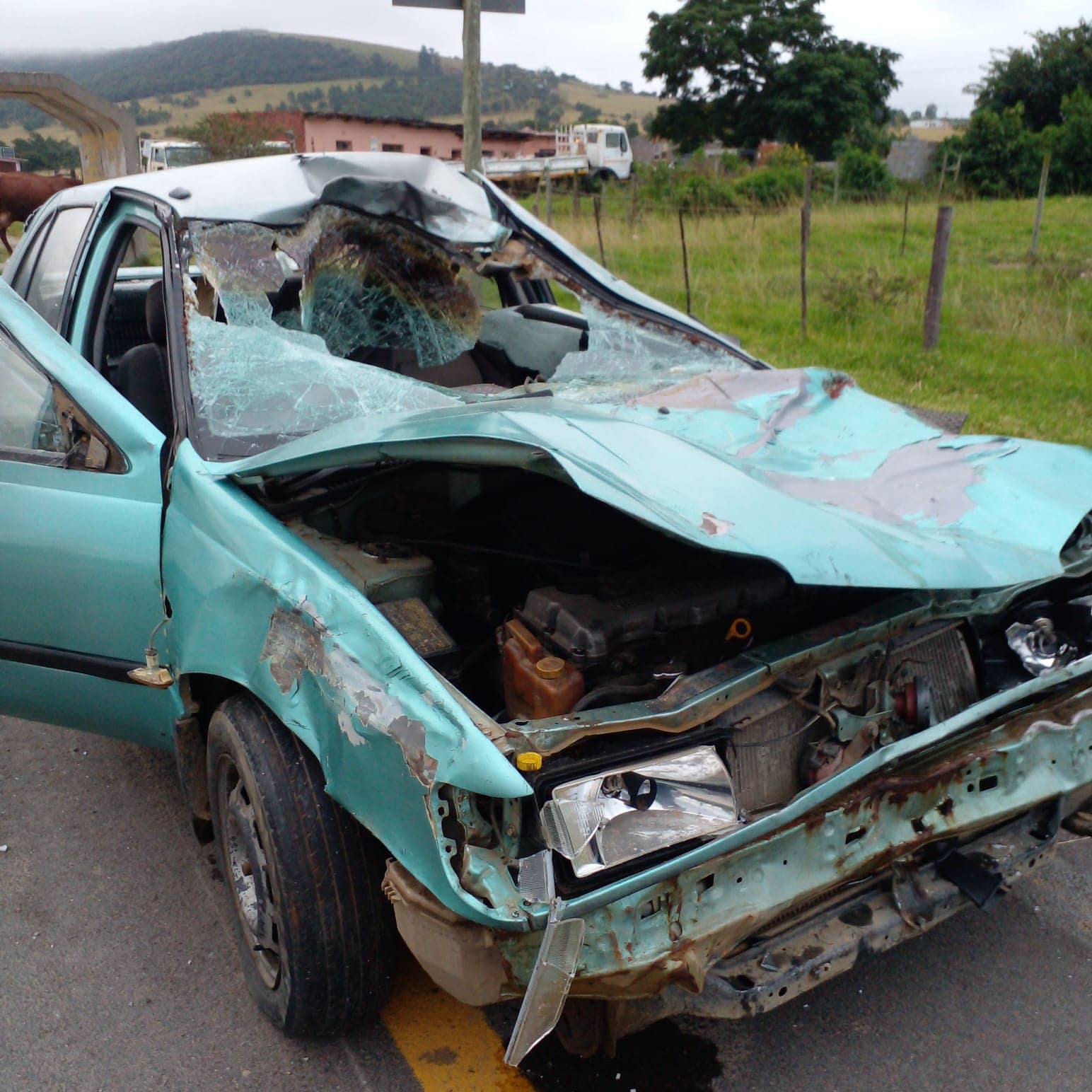 Fortunate escape from death in a crash into a cow at Qoboqobo, Eastern Cape