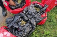 Dagga seized near the Bisasar Landfill Site in Springfield, Durban