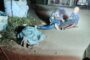 Garden route police clamps down on drug and liquor outlets during Operation Shanela