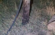 Suspects arrested for cable theft in Glencoe