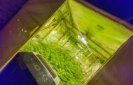 Suspect to appear in court for possession of an unlicenced firearm and drugs