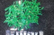 Suspect arrested with drugs valued at R15 000 in Standerton