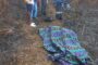 Housebreaking & Theft Suspect Arrested: Verulam - KZN