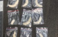 Suspect to appear in court for dealing in drugs