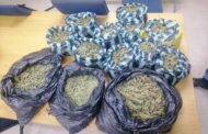 Bela-Bela police arrest suspect in possession of dagga worth R70000 during Operation Kukula