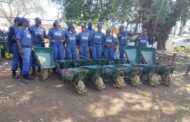 Sekhukhune District joint operation nabs two males during illegal combating mining operation