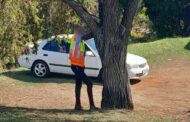 Man detained for restraining municipal worker to a tree in Everest Heights