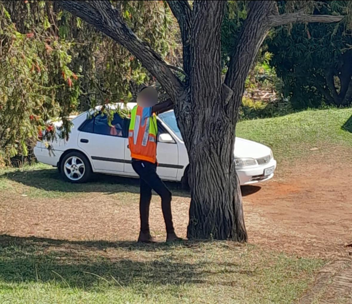 Man detained for restraining municipal worker to a tree in Everest Heights
