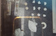 Three suspects nabbed for dealing in drugs in Kwadukuza