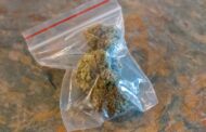 Dagga found on an eight-year-old in Phoenix