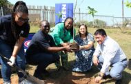 Engen and Food & Trees partner to green South Durban