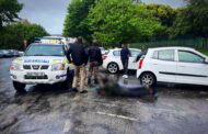 Two thieves arrested as they tried to break into a vehicle in Park Drive