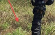 Missing teenager found deceased on a live illegal electricity connection