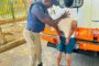 Three armed robbery suspects perish during a high-speed car chase with police in Vhembe District