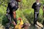 Robbery suspect arrested in Verulam