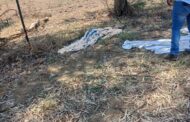 A woman's body was found dumped near a farm at Trichardt