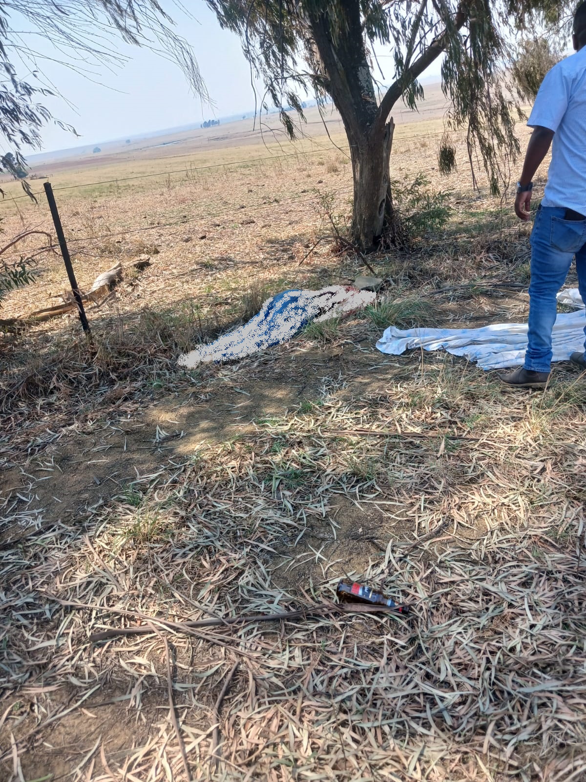 A woman's body was found dumped near a farm at Trichardt