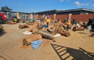 Illegal mining operations conducted in Gauteng yields success