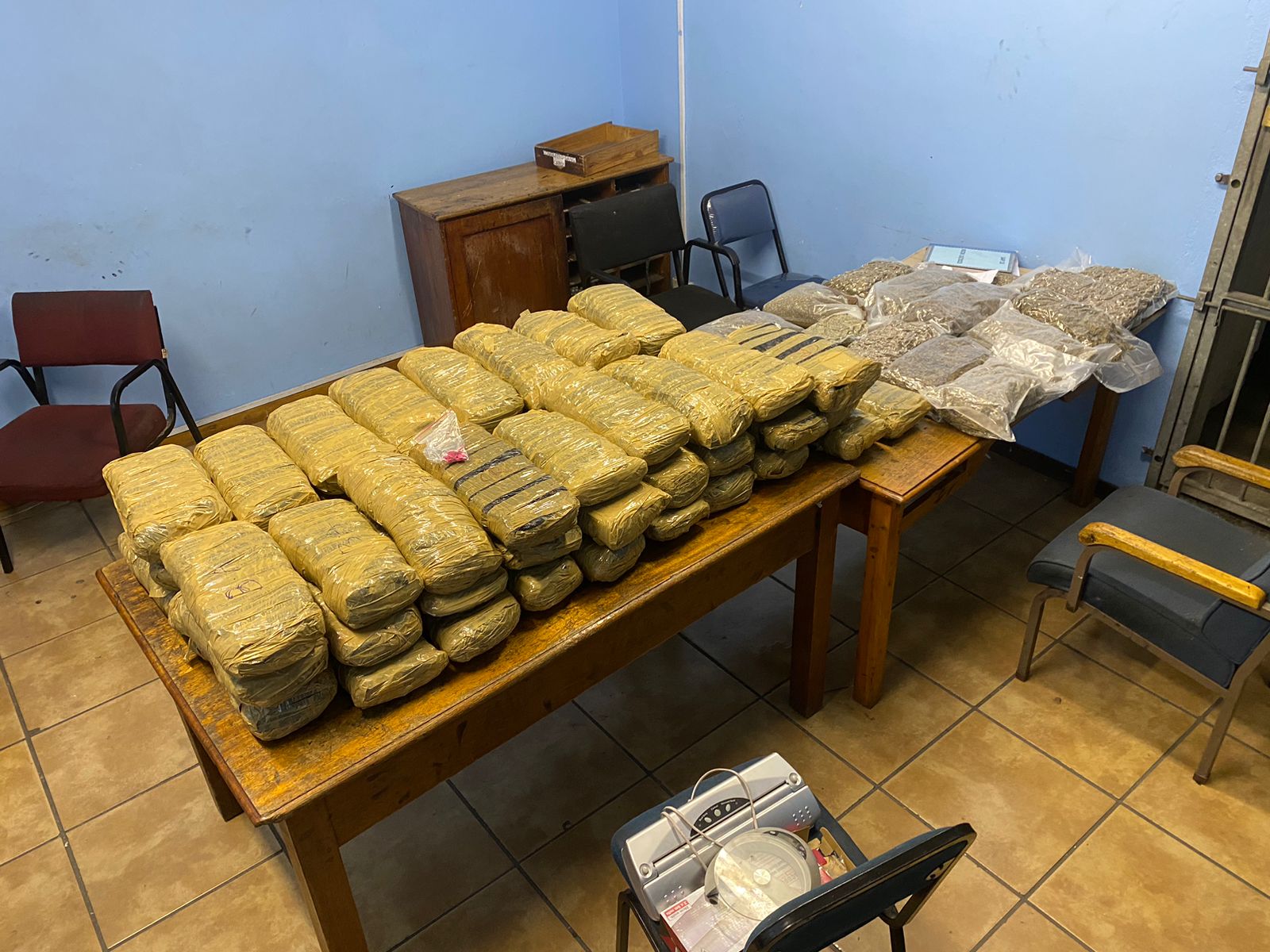 Four suspects to appear in court on charges of dealing in drugs, possession of drugs and abalone and the possession of unlicensed ammunition