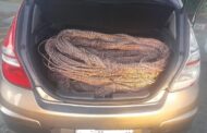 Five suspects heading for Laingsburg Court in connection with suspected stolen goods