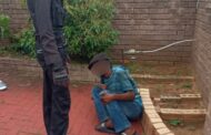 Stolen goods recovered and suspect apprehended in Palmview