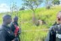Naked male discovered hanging from a tree in Riet River
