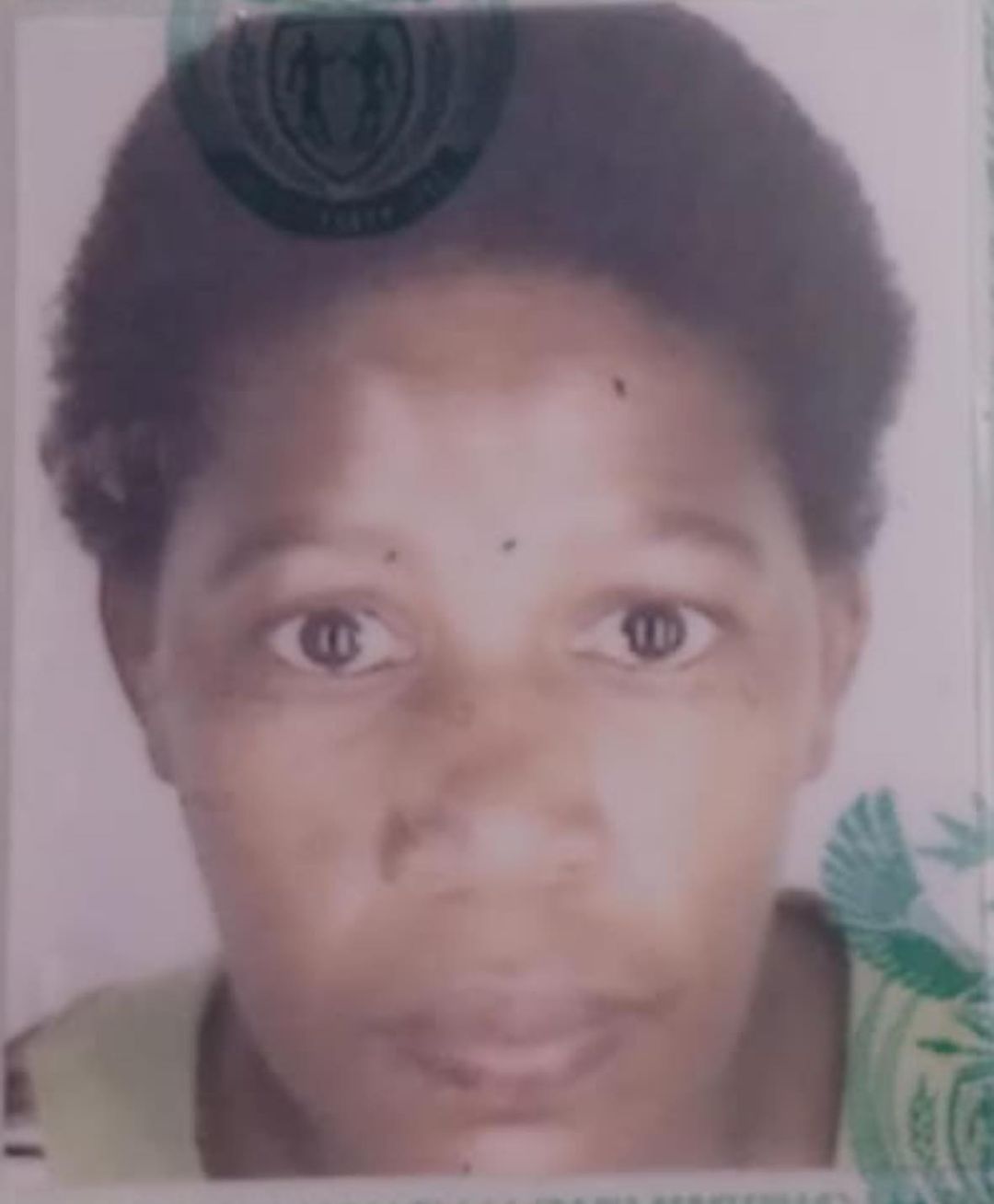 Missing person from Amoutana sought