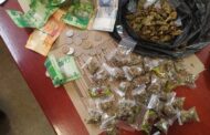 Two arrested for drug dealing in Ivory Park