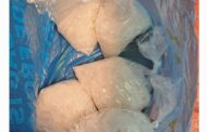 Police detain suspects for dealing in drugs