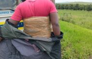 Taxi commuter nabbed with dagga wrapped around his body