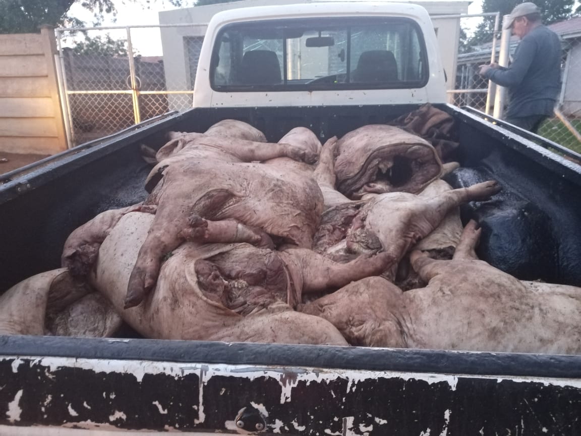 Vigilant members of the Organized Crime Investigation Unit arrest three for stock theft