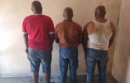 Springbok SAPS arrest three males for armed robbery