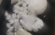 Police seize drugs worth more than R1.5 million