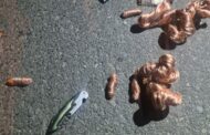 Copper pipe thief arrested by Fidelity Services Group in Kirstenbosch