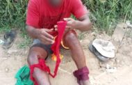 Robbery victim repeatedly stabbed in Cordoba Gardens