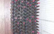 Keimoes SAPS uncovers hidden ammunition on a farm