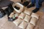 Counter-narcotics and Welkom K9 unit arrest a man with a stash of mandrax tablets and crystal meth drugs worth about R300 000