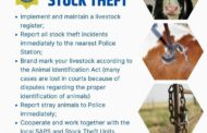 Pixley Ka Seme District arrest four stock theft suspects