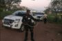 Mozambican spitting cobra captured in a home in Osindisweni