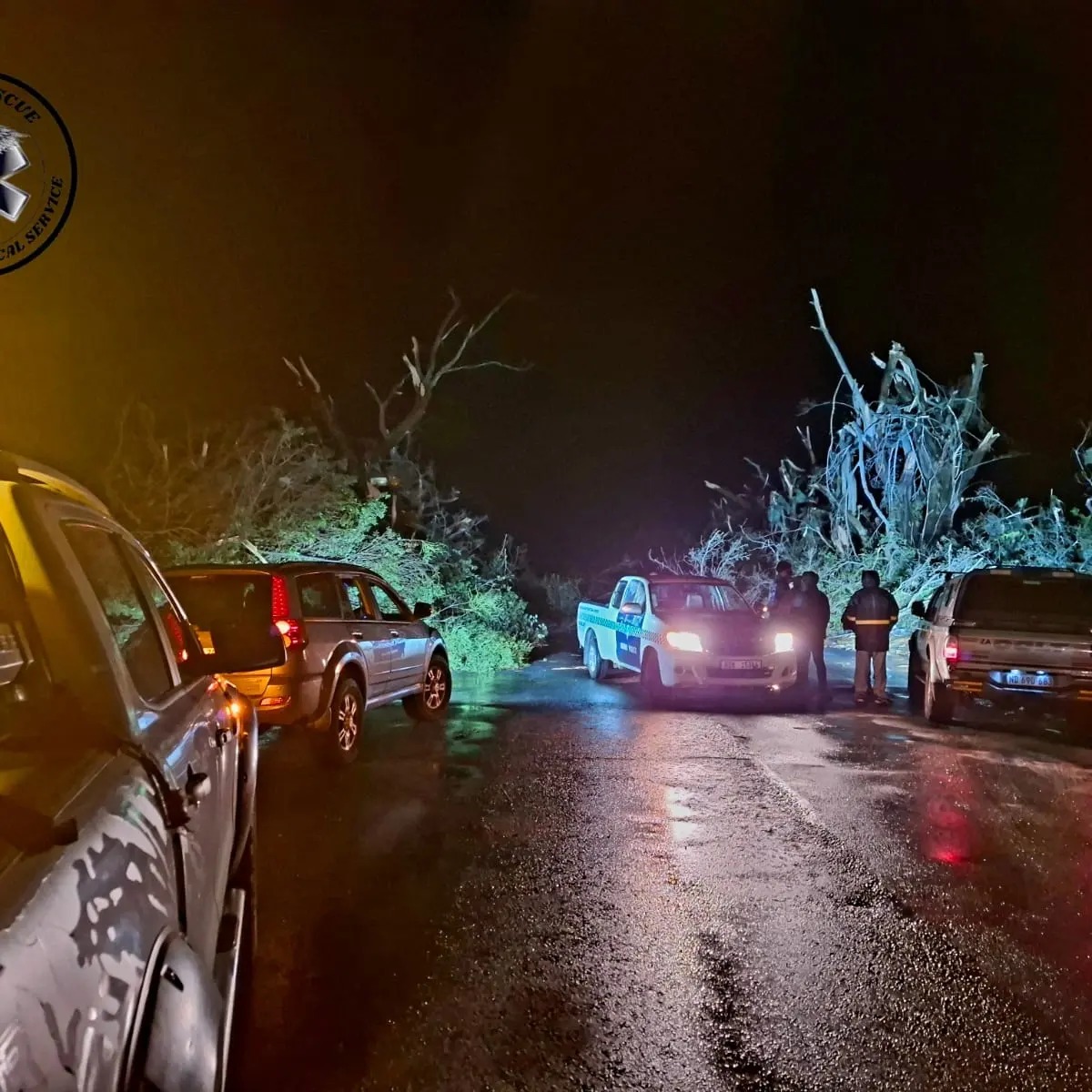 Trees collapse onto Watson Highway after stormy weather