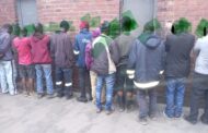 Twenty-nine suspects arrested for illegal mining activities in the Ekurhuleni District