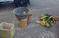 Suspects arrested for illegal mining and possession of drugs in Carletonville