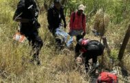 Female baby discovered deceased in a packet in Waterloo