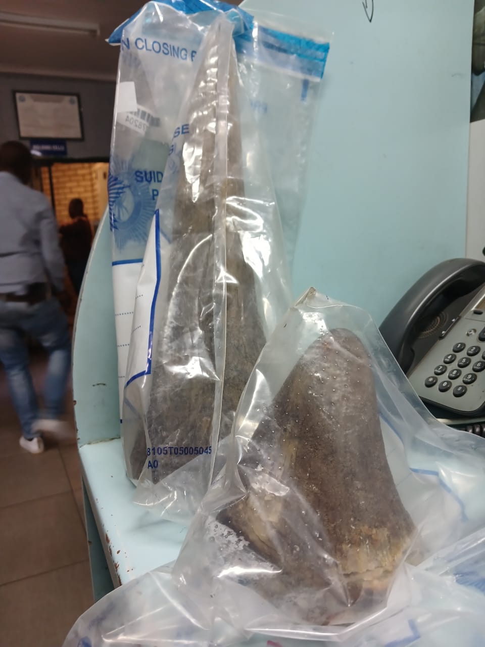 Three suspects arrested for possession of rhino horns