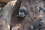 Hijacked vehicle sought in Newlands