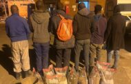 Free State Knock-out team stop 139 suspects on their tracks