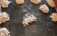 A 50-year-old arrested for dealing in drugs in Thaba Nchu